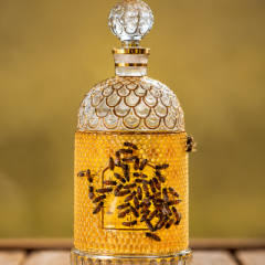 Guerlain Parfüm Şişesi