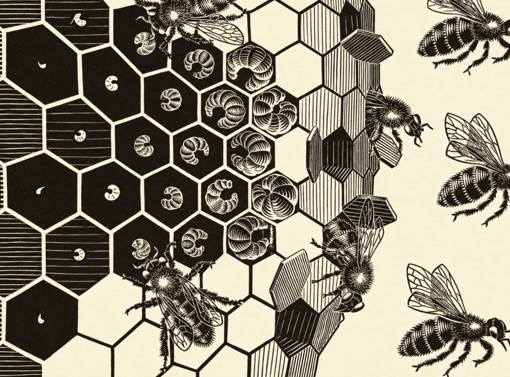 “Metamorfoz III”, M.C. Escher, 1968.