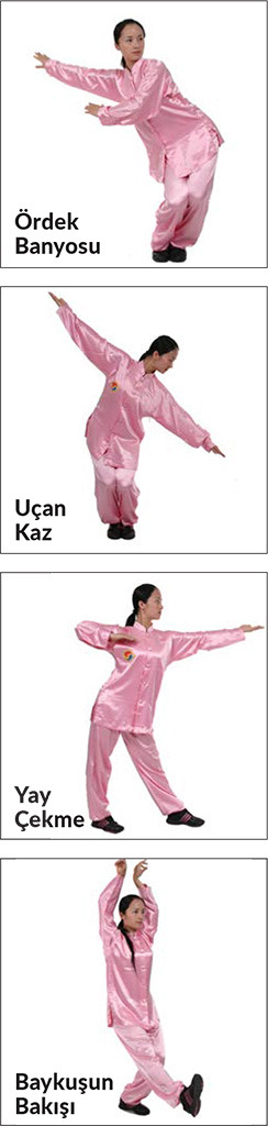 Tai Chi ve Çigong